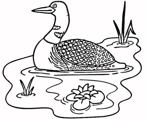 Loon In The Lake  Coloring Page